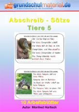 Abschreibsätze_Tiere_5_Grundschrift.pdf